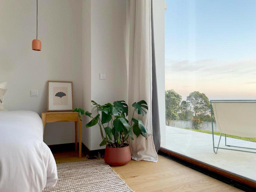 Casa Da Serra ブアルコス エクステリア 写真
